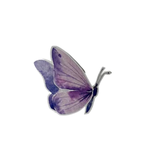 Props Butterfly (2 pieces )