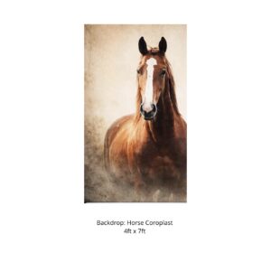 #0002 Horse Backdrop